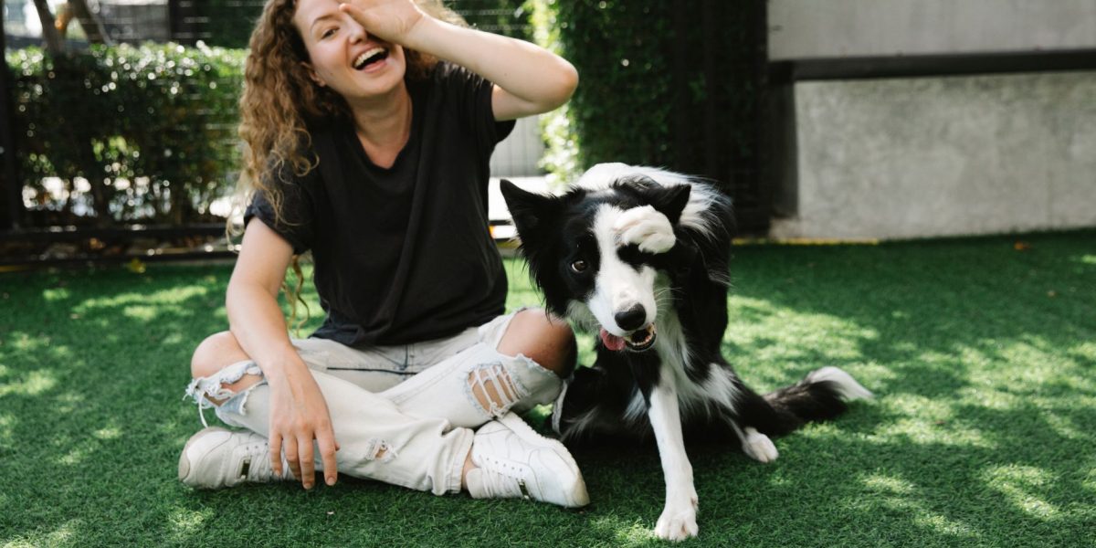 Can Dogs Have Anxiety Attacks?