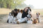 How to Find Out What Breed Your Dog Is: A Practical Guide to Visual Clues, Records, and DNA Testing 8 How to Find Out What Breed Your Dog Is: A Practical Guide to Visual Clues, Records, and DNA Testing