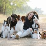 How to Find Out What Breed Your Dog Is: A Practical Guide to Visual Clues, Records, and DNA Testing