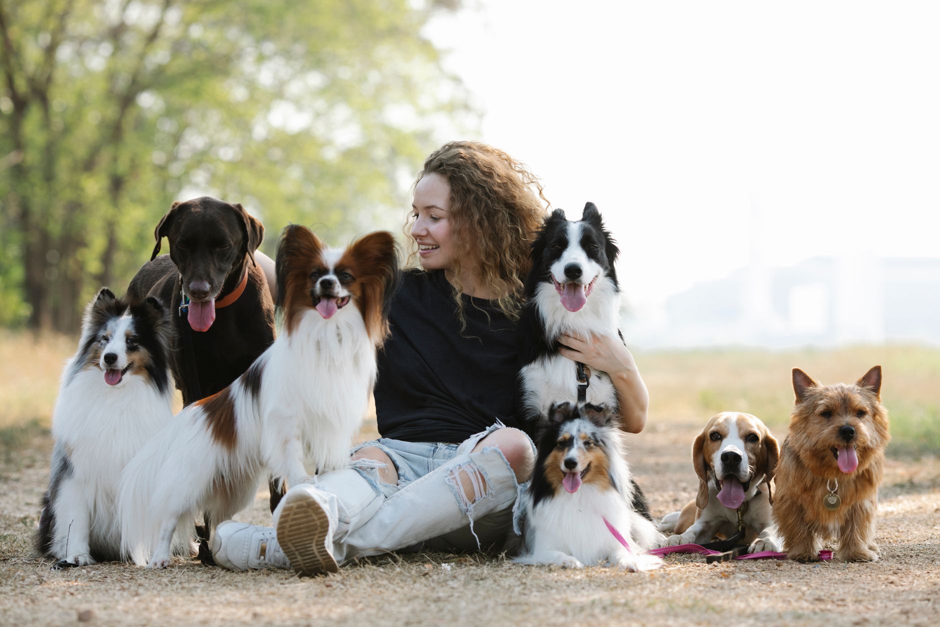 The Right Dog Breed Starts With Understanding Your Life 1 The Right Dog Breed Starts With Understanding Your Life