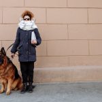Is Your Dog Actually Cold? A Practical Guide to Reading the Signs Before It Becomes an Emergency 2 Is Your Dog Actually Cold? A Practical Guide to Reading the Signs Before It Becomes an Emergency