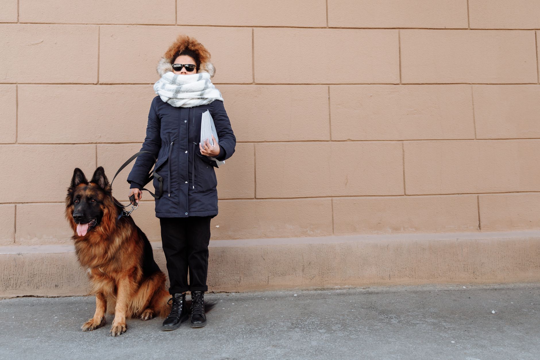Is Your Dog Actually Cold? A Practical Guide to Reading the Signs Before It Becomes an Emergency
