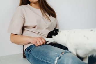 Helping Dogs Become Comfortable Alone: A Practical Guide to Prevent Separation Anxiety 4 Helping Dogs Become Comfortable Alone: A Practical Guide to Prevent Separation Anxiety