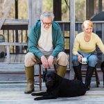 When Does a Dog Become a Senior? Understanding Age, Health Changes, and Better Care Decisions