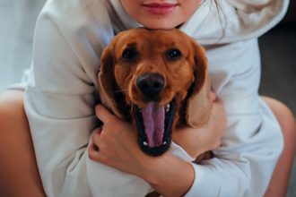 How to Calm an Anxious Dog: Safe Options and What Owners Should Know