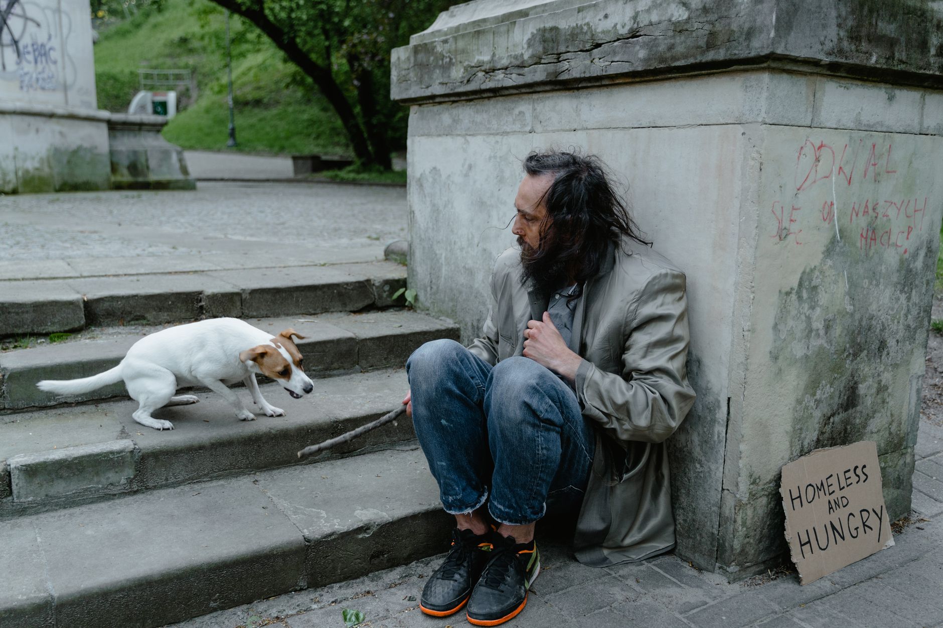 How Long Can a Dog Survive Without Food? Understanding the Risks and Warning Signs