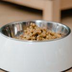 How to Transition Your Dog to Dry Food Without Creating Mealtime Problems