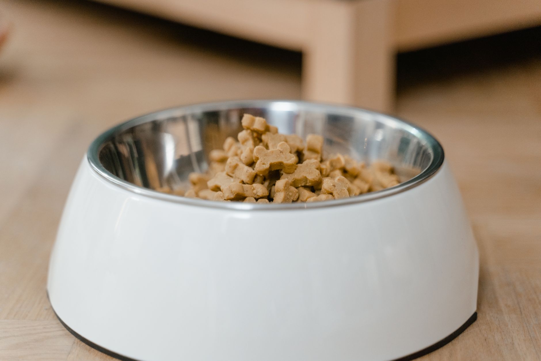 How to Transition Your Dog to Dry Food Without Creating Mealtime Problems 1 How to Transition Your Dog to Dry Food Without Creating Mealtime Problems