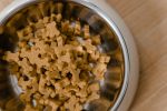 Dog Foods That Can Harm Your Pet: Ingredients and Feeding Mistakes Every Owner Should Avoid