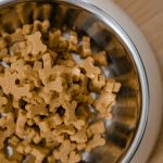 Dog Foods That Can Harm Your Pet: Ingredients and Feeding Mistakes Every Owner Should Avoid