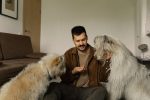 Can Dogs Hold Grudges?