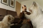 Building Independence: A Practical Guide to Training Dogs With Separation Anxiety