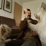 Building Independence: A Practical Guide to Training Dogs With Separation Anxiety