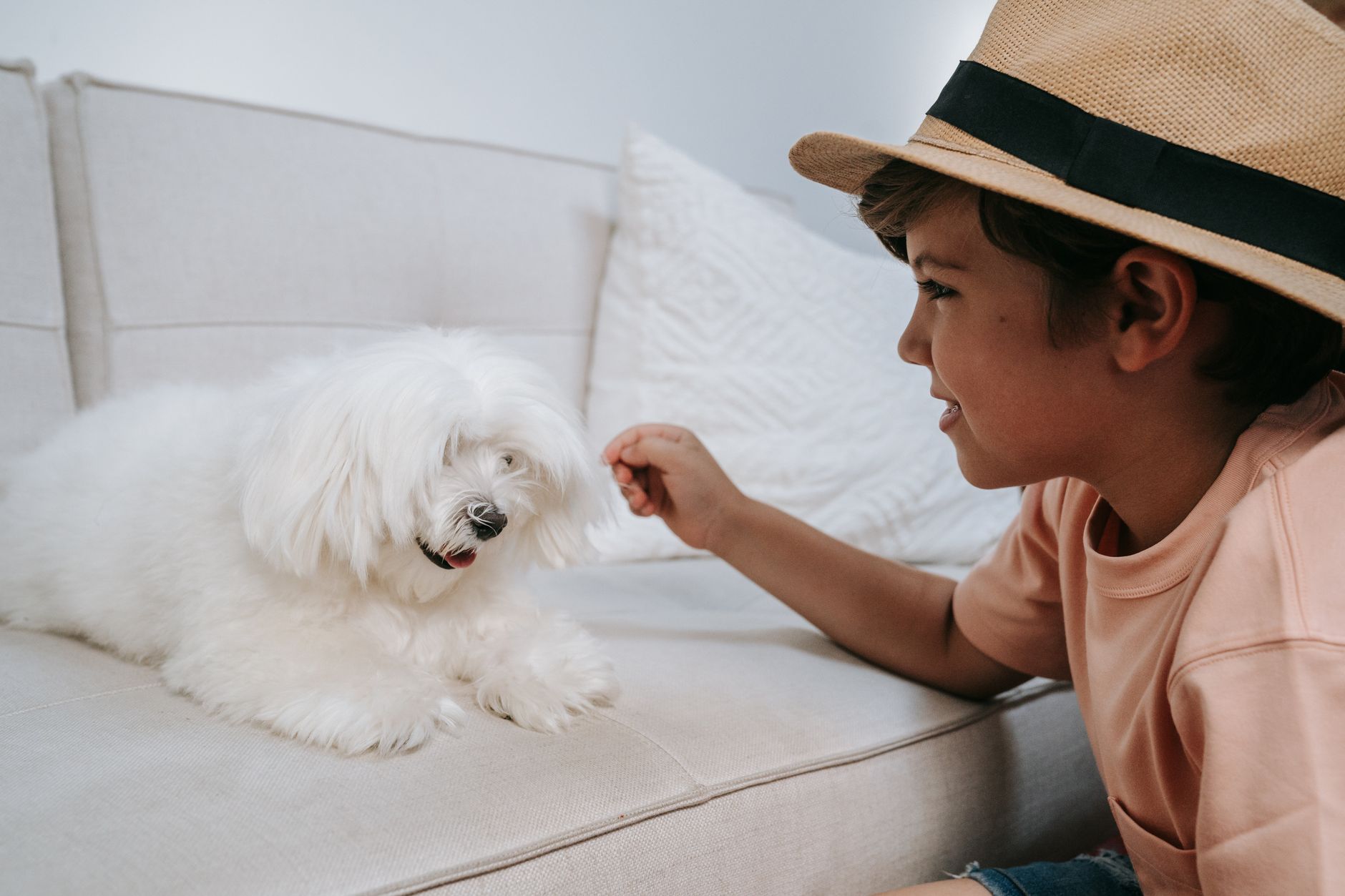 What Foods Do Dogs Like? 1 What Foods Do Dogs Like?
