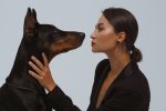 Understanding Your Dog Match: Finding the Breed Personality That Fits You