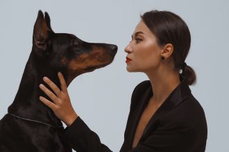 Understanding Your Dog Match: Finding the Breed Personality That Fits You