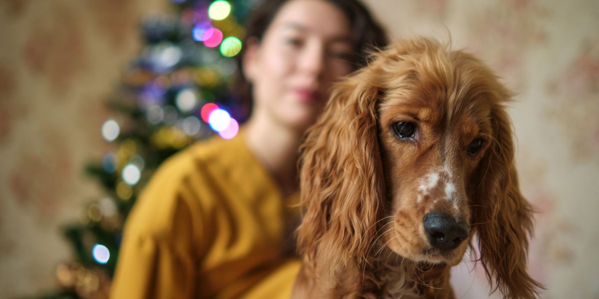 The Real Annual Cost of Owning a Dog: What Pet Owners Should Budget Each Year 1 The Real Annual Cost of Owning a Dog: What Pet Owners Should Budget Each Year
