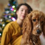 The Real Annual Cost of Owning a Dog: What Pet Owners Should Budget Each Year