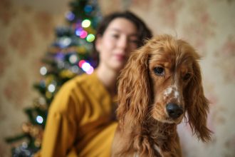 The Real Annual Cost of Owning a Dog: What Pet Owners Should Budget Each Year 5 The Real Annual Cost of Owning a Dog: What Pet Owners Should Budget Each Year