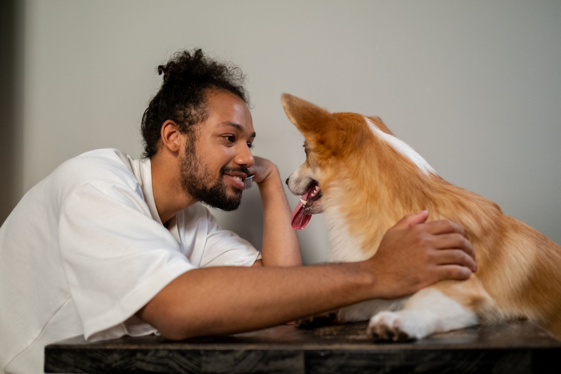 Understanding Dogs: Why This Familiar Companion Is Still Part of the Animal Kingdom